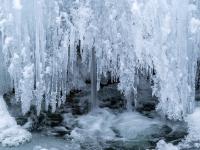 Eiszapfen am Ende einer eisigen Wand an Kaskade im Lochgrabenbach
